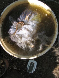 Making compost tea