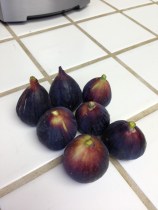 Fresh Black Mission Figs